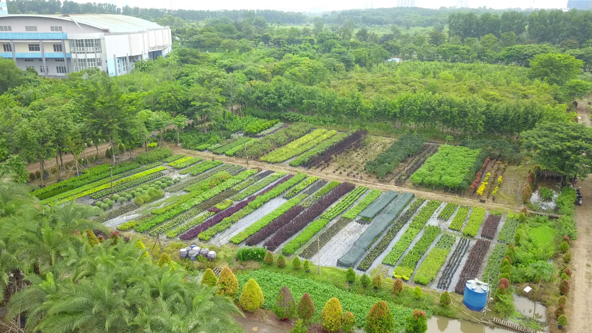 Vuon_uom_12_hecta_-_trong_khuon_vien_trYYng_DH_Bach_Khoa_-_Thu_Duc