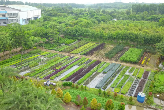 CHÀO MỪNG CÔNG TY TNHH HOÀNG LAM TRỞ THÀNH HỘI VIÊN HIỆP HỘI SACA